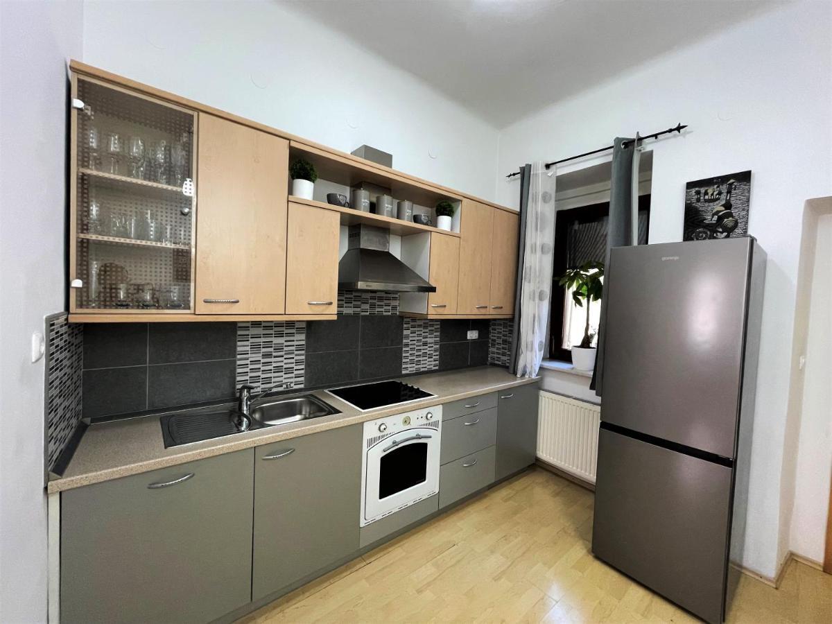 לובליאנה Viktorija City Center Apartment מראה חיצוני תמונה