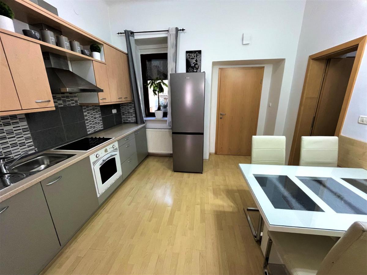 לובליאנה Viktorija City Center Apartment מראה חיצוני תמונה